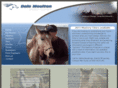 rescuehorsefeed.com