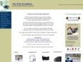 twinportssurveillance.com