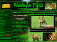 wildlifetails.com