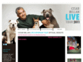 cesarmillanlive.biz