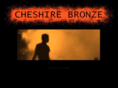 cheshirebronze.com