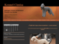 cimisa.net