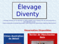 diventy.com