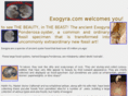 exogyra.com