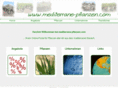 mediterranepflanzen.com