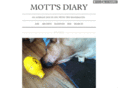 mottsdiary.com