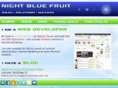 nightbluefruit.com