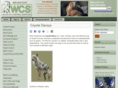 predatordecoy.com