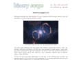 binarysurge.com