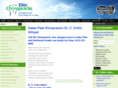 elitechiropractic-austin.com