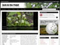 jack-in-the-pulpit.com