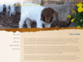 millertimeboergoats.com