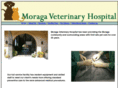 moragavet.com
