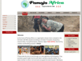 pamojafrica.org