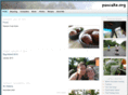 pancake.org