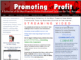 promotingforprofit.com