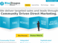 bluedragondirect.com