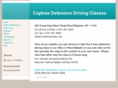 defensivedriverclass.net