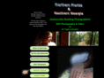 digitaldarkroomexperts.com
