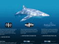 peirceshark.com