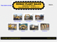 romacireland.com