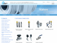 valves-fittings.com