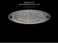 bigwigracecars.com