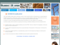 blendex-system.com