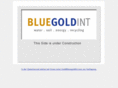 bluegoldint.com