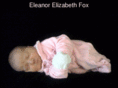 eleanor-fox.com
