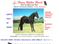 flyingwalkerranch.com