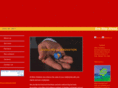 miransolutions.com