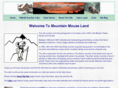 mtnmouse.com