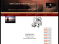 sethscleaning.com