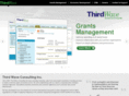 thirdwaveconsulting.com