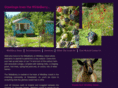 wildeberry.com