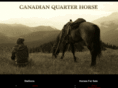 canadianquarterhorse.com