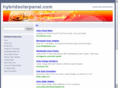 hybridsolarpanel.com
