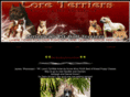 loreterriers.com