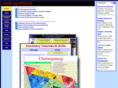metasynthesis.com