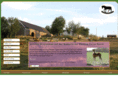 rockinghorse-ranch.com