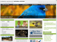 carnegiemnh.com