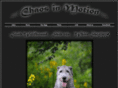 chaos-in-motion.com