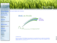 diag-en-pevele.com