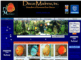 discusmadness.com