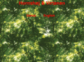 hornshojvirtanen.com