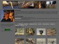 merrittimages.com
