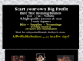 nicholsbronze.com