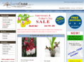 seattleorchid.com