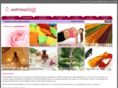 wellnessb2b.com